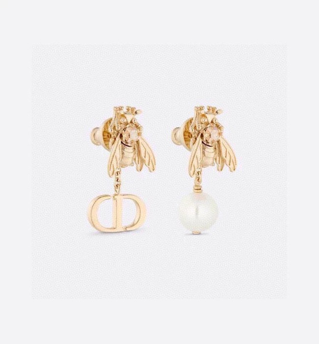 Dior Earrings CE14551