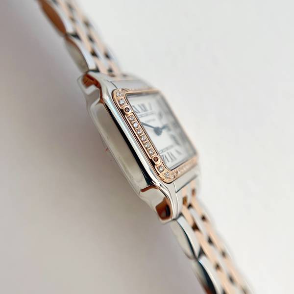 Cartier Watch CTW00718 Cartier Watch CTW00718