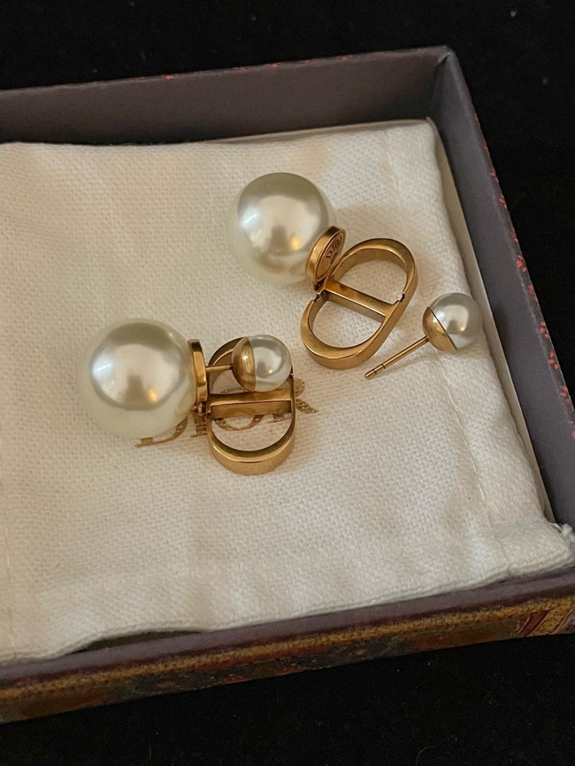 Dior Earring CE16596