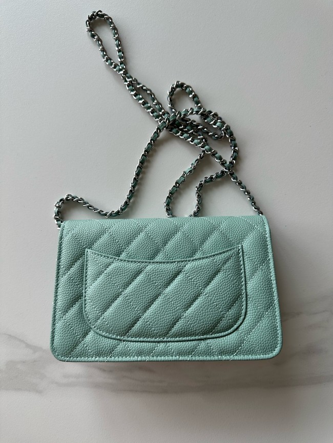 Chanel Classic Wallet On Chain Grained Calfskin AP4241-4