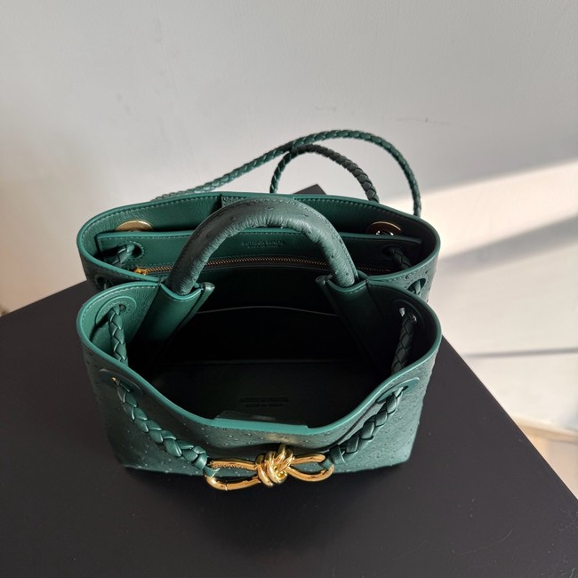 Bottega Veneta Small Andiamo 805231 Jungle