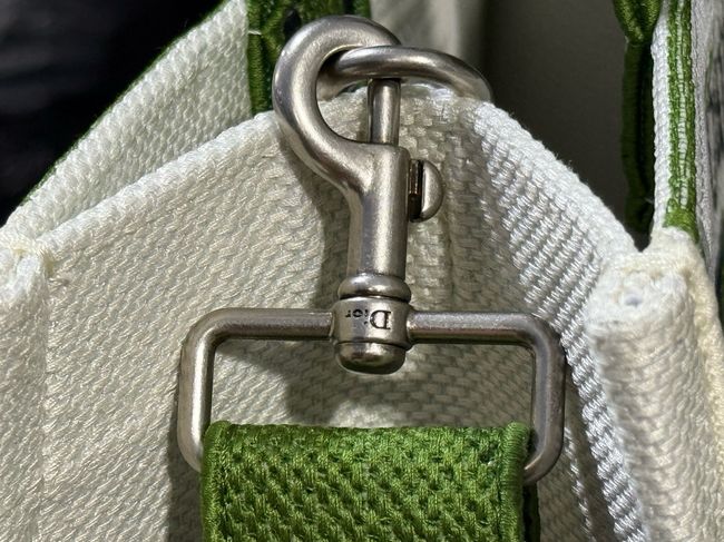 Medium Dior Book Tote with Strap M1354PE green