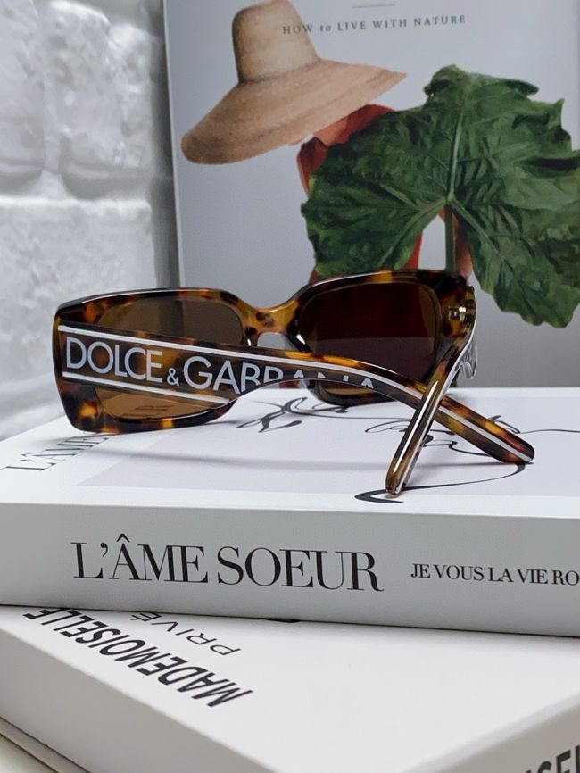 Dolce & Gabbana Sunglasses 821451-1