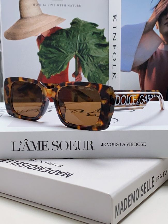 Dolce & Gabbana Sunglasses 821451-1