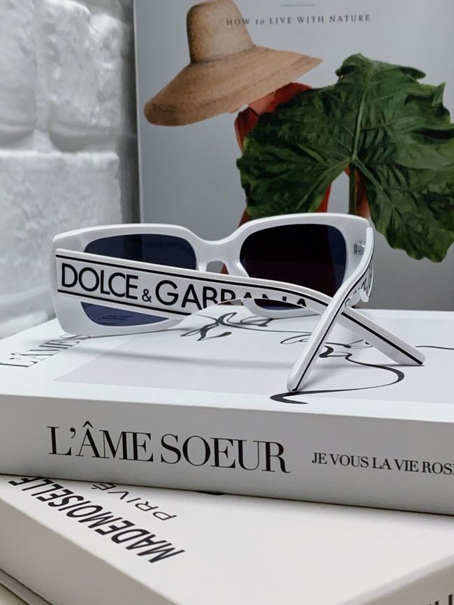 Dolce & Gabbana Sunglasses 821451-2
