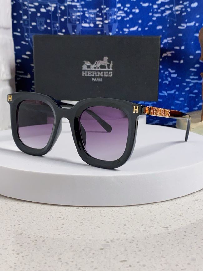 Hermes Sunglasses 821519-3