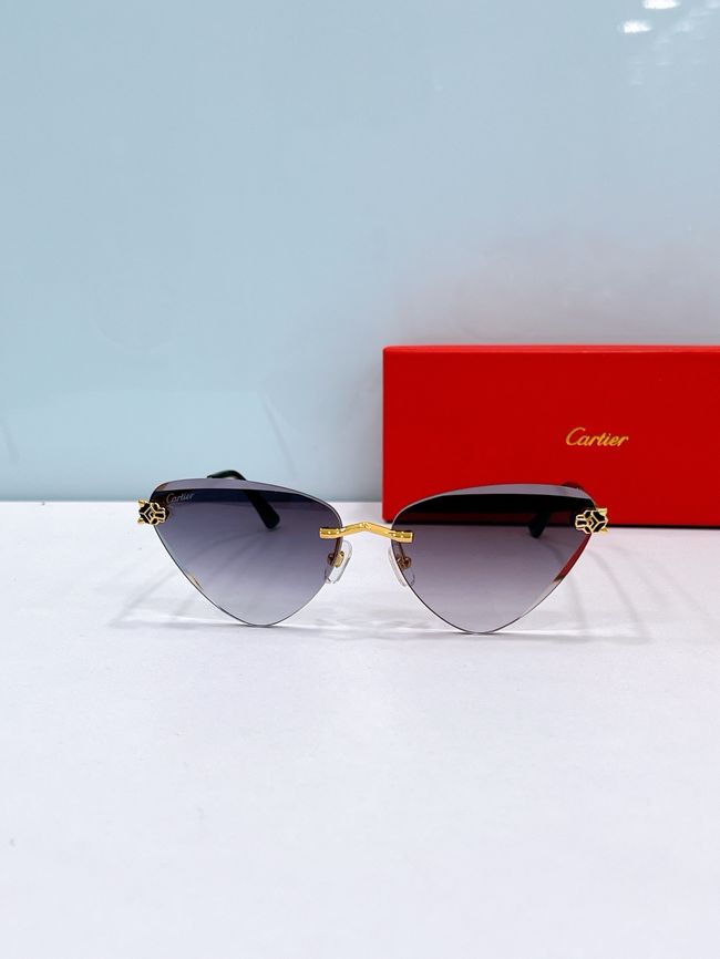 Cartier Sunglasses 821593-6 Cartier Sunglasses 821593-6
