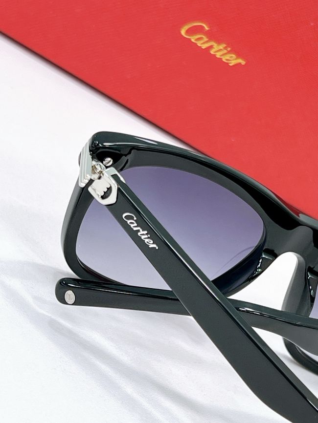 Cartier Sunglasses 821594-6 Cartier Sunglasses 821594-6