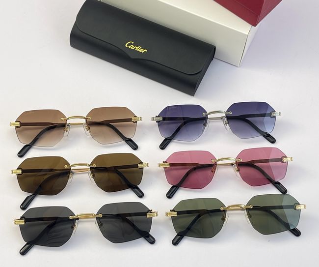 Cartier Sunglasses 821601-3 Cartier Sunglasses 821601-3