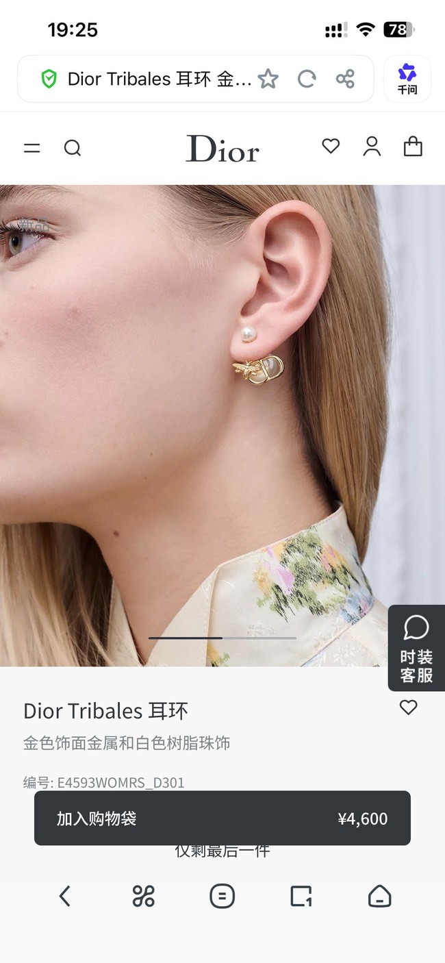 Dior Earrings CE89992